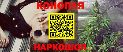 прущие грибы Гудермес