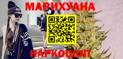 прущие грибы Гудермес