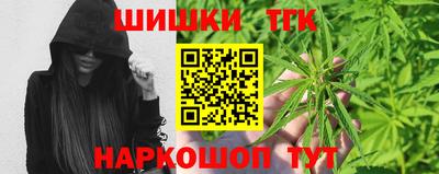 прущие грибы Гудермес