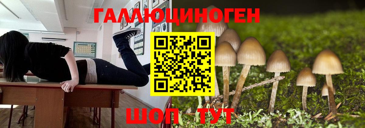 Галлюциногенные грибы мицелий Дедовск