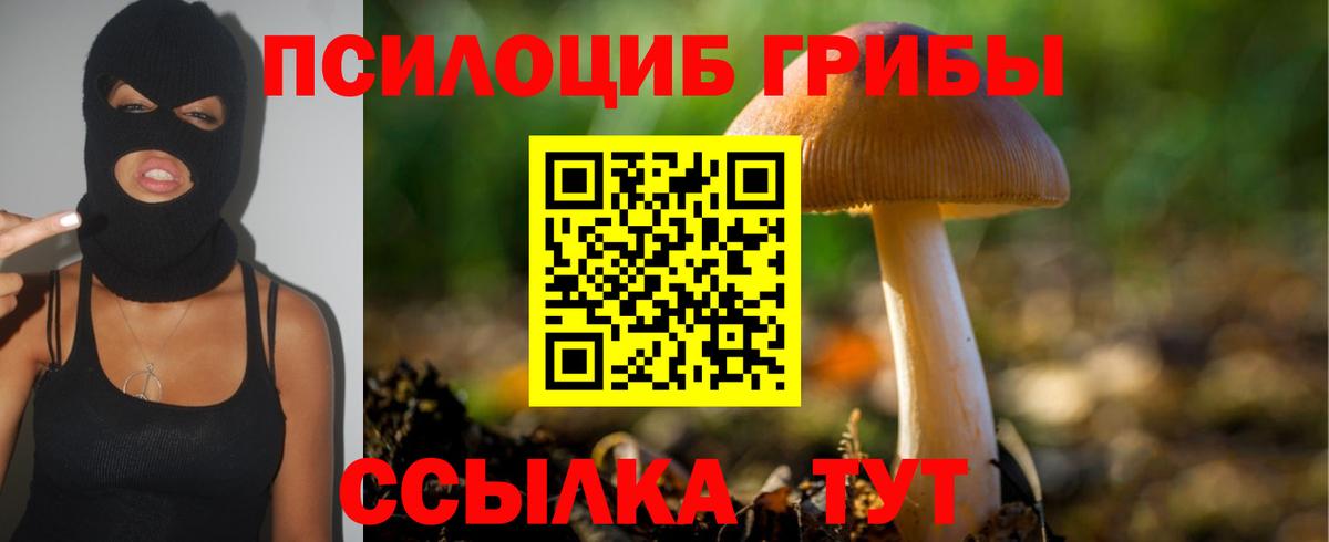 Галлюциногенные грибы ЛСД  Псилоцибиновые грибы ЛСД  Дедовск  Вход с VPN 